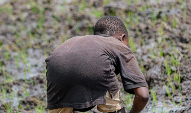 Agricultural worker