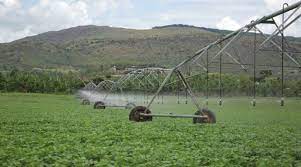 Kayonza Irrigation and Integrated Watershed Management Project-KIIWP subprojects ( Ndego 2000 irrigation projects, Kanyeganyege marshlands and Gishanda Marshland irrigation Projects)